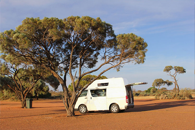 white van with boot door open behind a tree