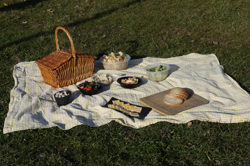 picnic