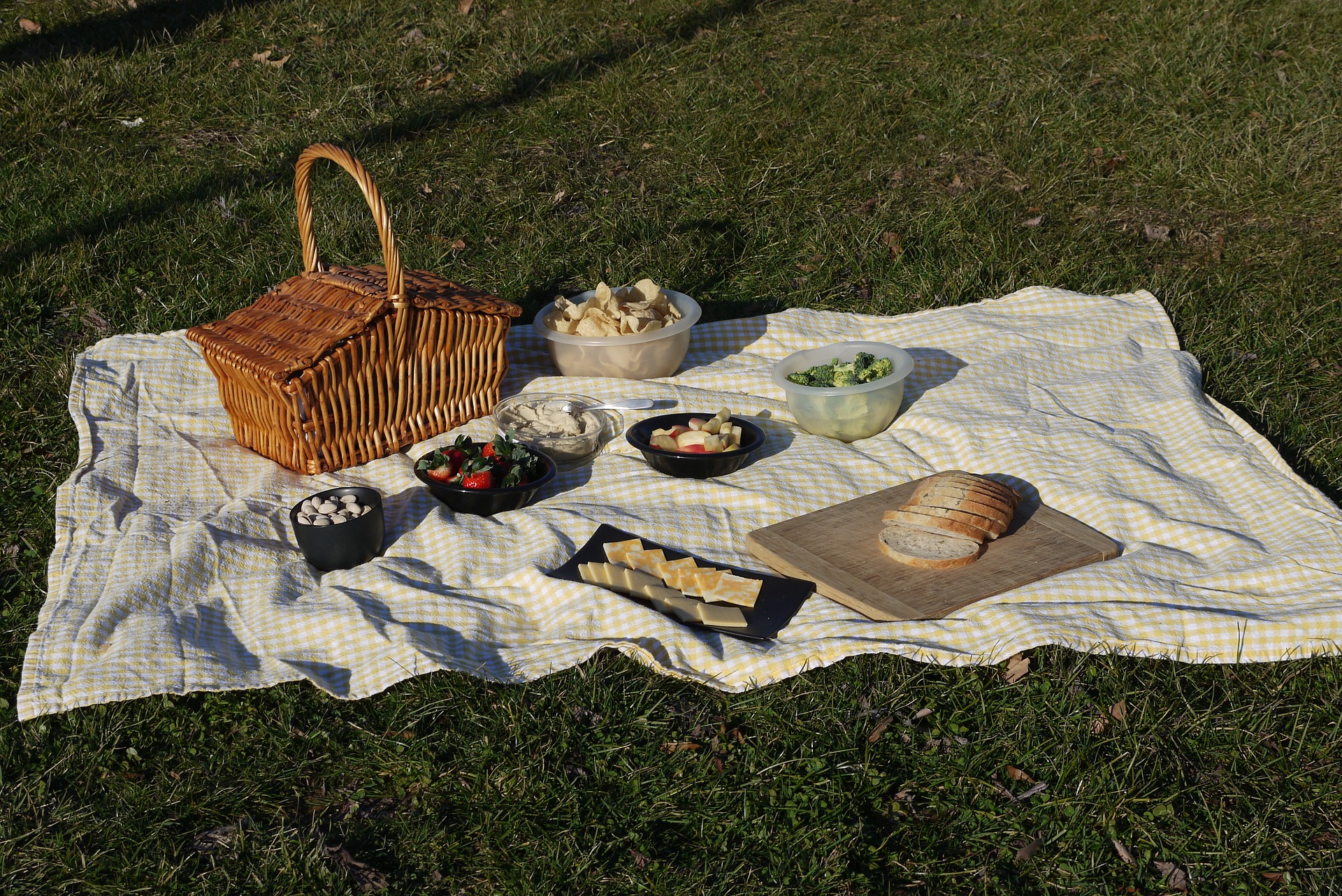Picnic blanket from a campervan on the grass